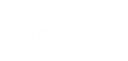 Japan Youth Summit